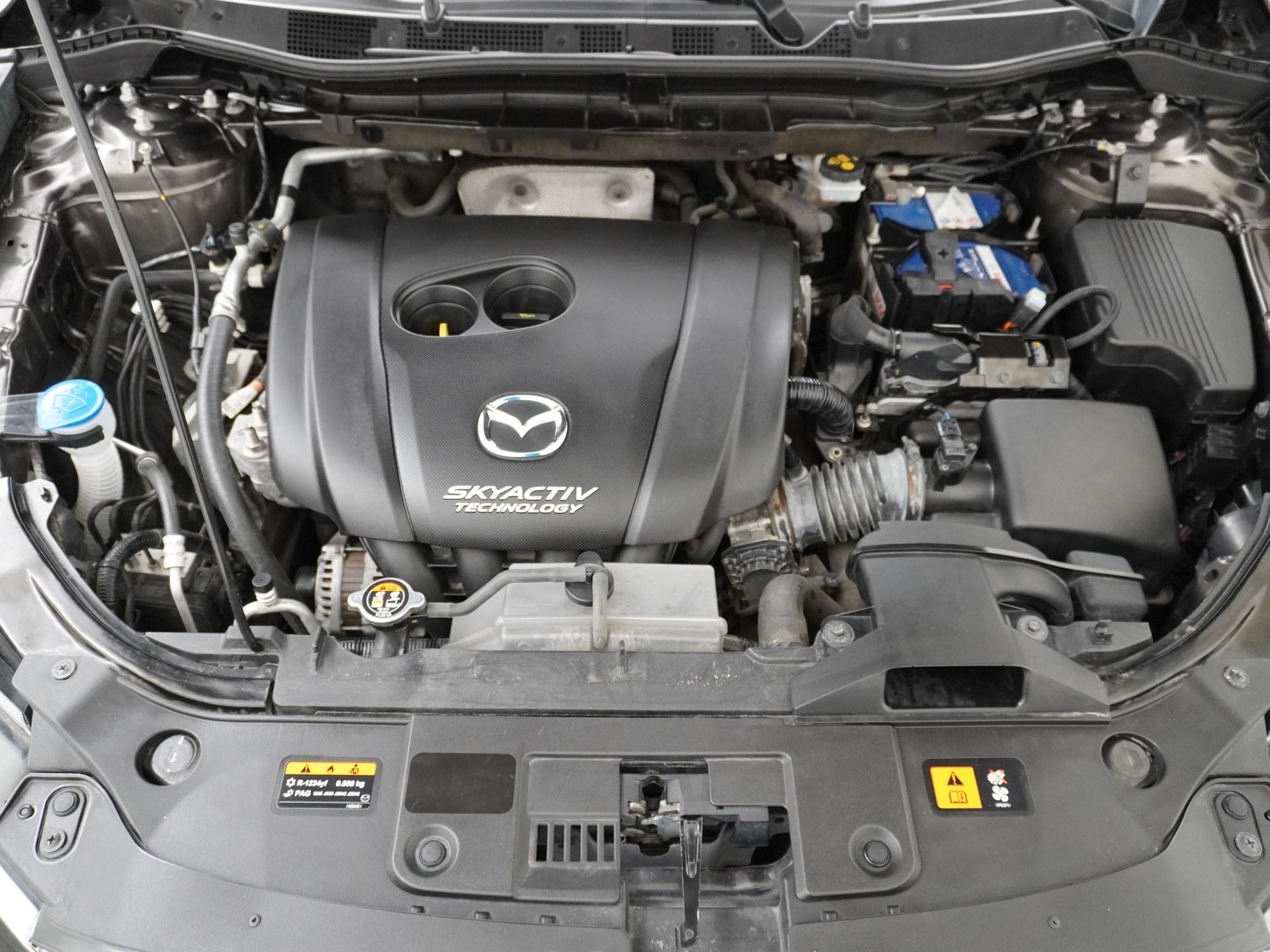 46207088-23.jpg